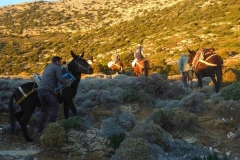 on the way to Panagia To Toso Nero church